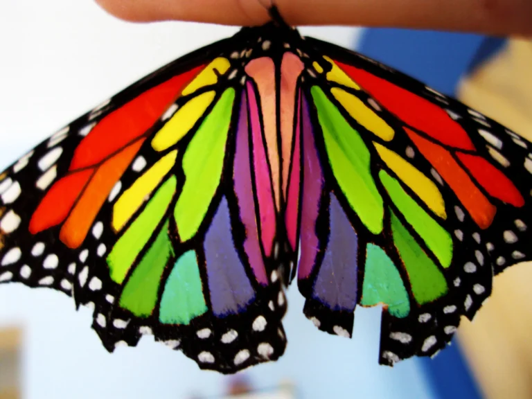 rainbow butterfly meaning